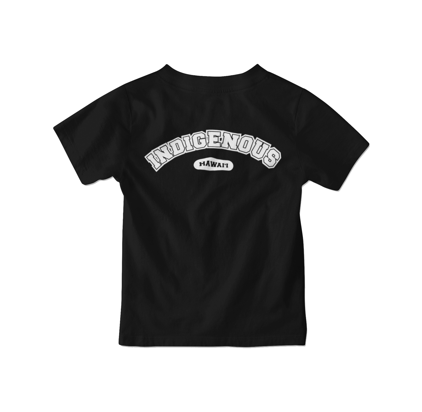 TSHIRT - Indigenous