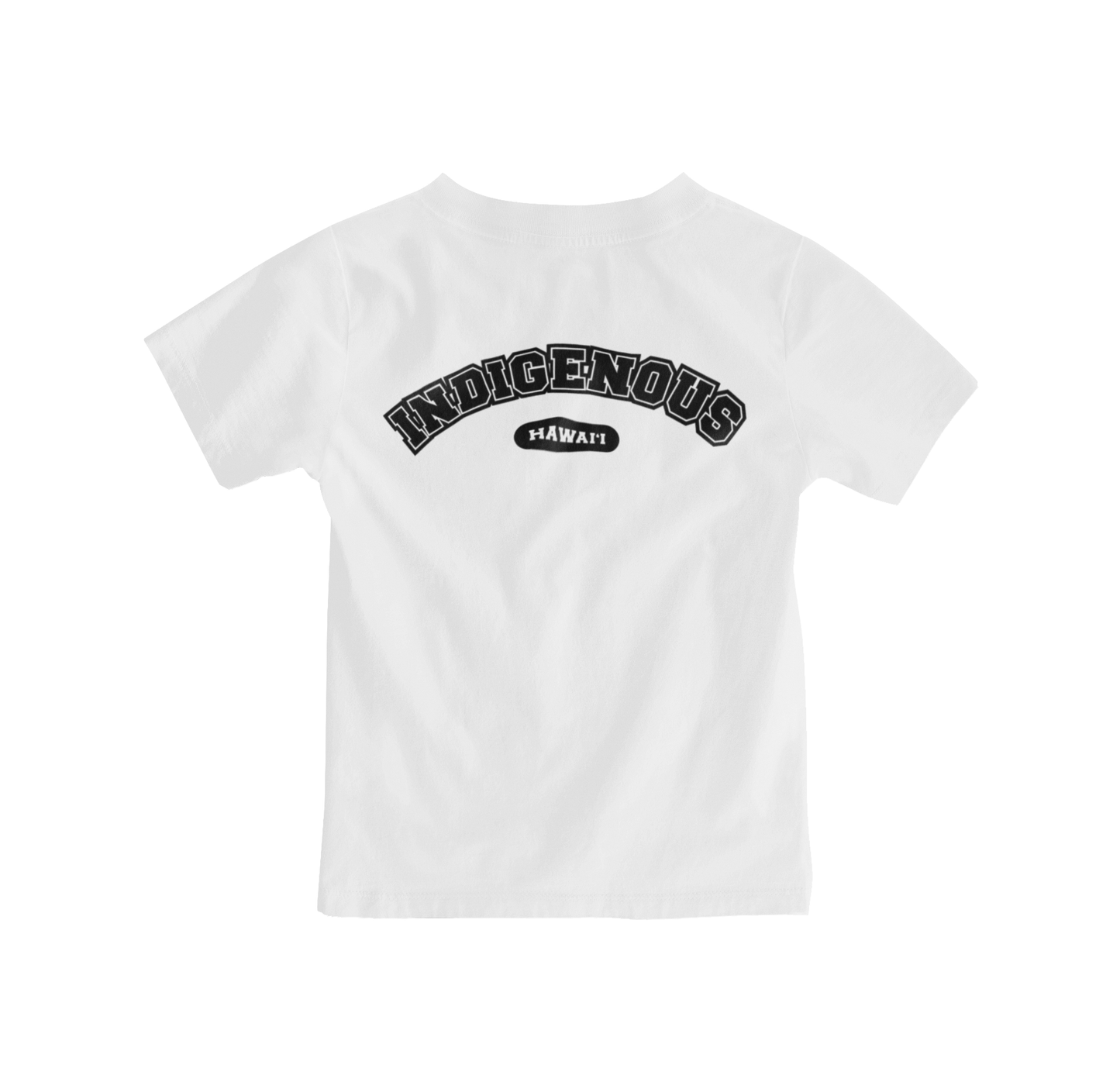TSHIRT - Indigenous