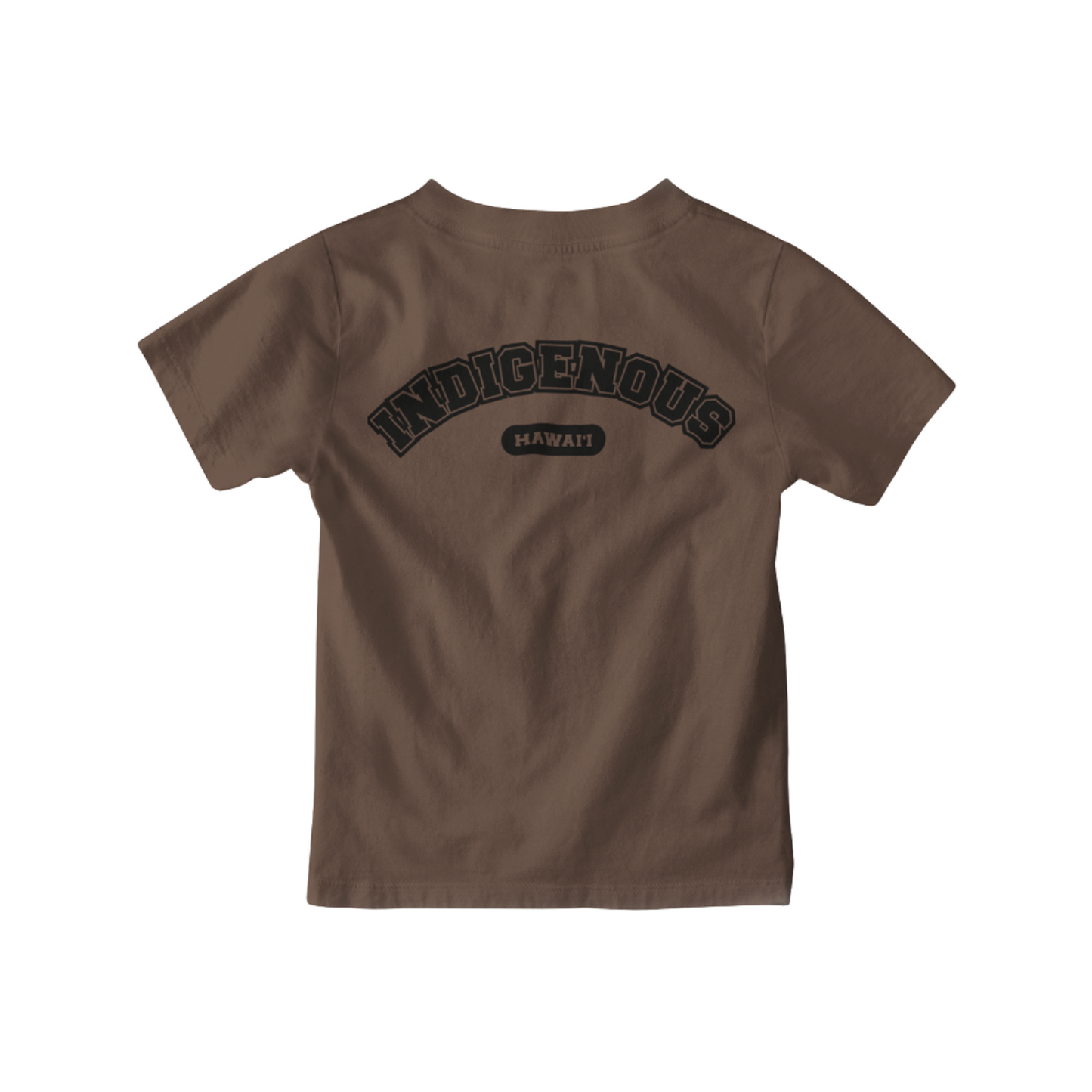 TSHIRT - Indigenous